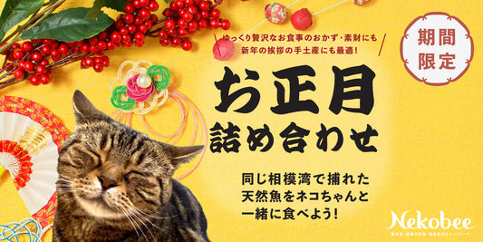【期間限定】ネコちゃんと一緒に食べれるお正月セット販売開始!