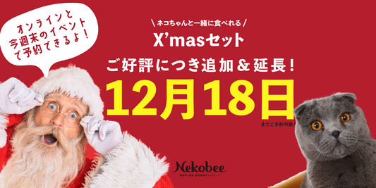 X'masセットご好評につき追加&延長!【12/18まで】