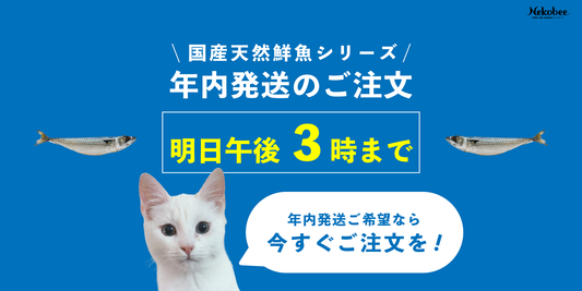 📣国産天然鮮魚シリーズ|年内発送の最終注文は明日午後3時まで!