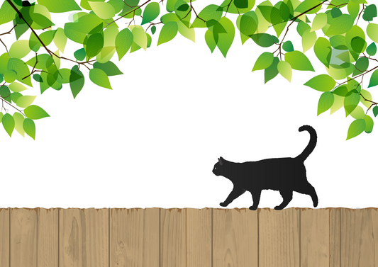 Nekobeeブログ7 知らないとマズイ?!猫の死亡原因(病気)は年齢によって違った!