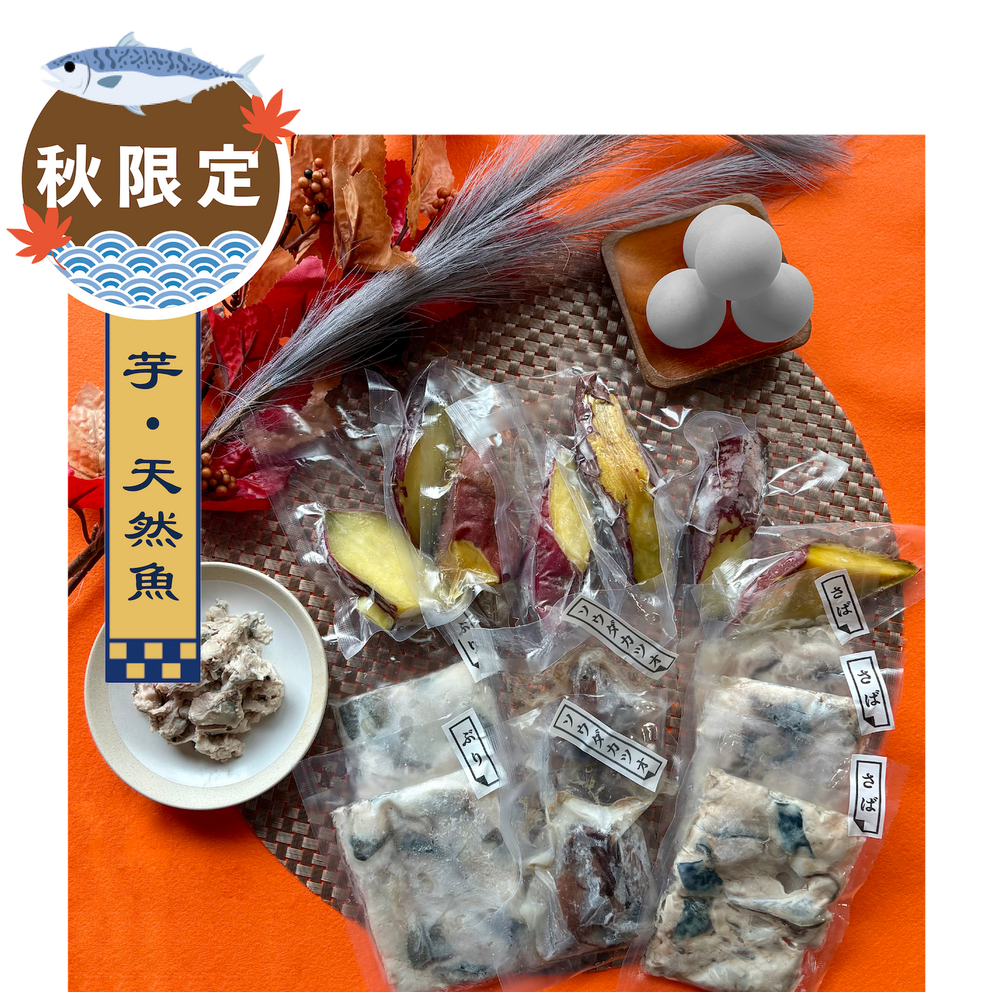 【数量限定】Nekobee🎑お月見セット天然魚〜2025年ver.〜
