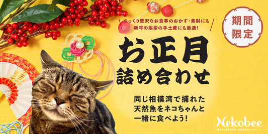 【期間限定】ネコちゃんと一緒に食べれるお正月セット販売開始！