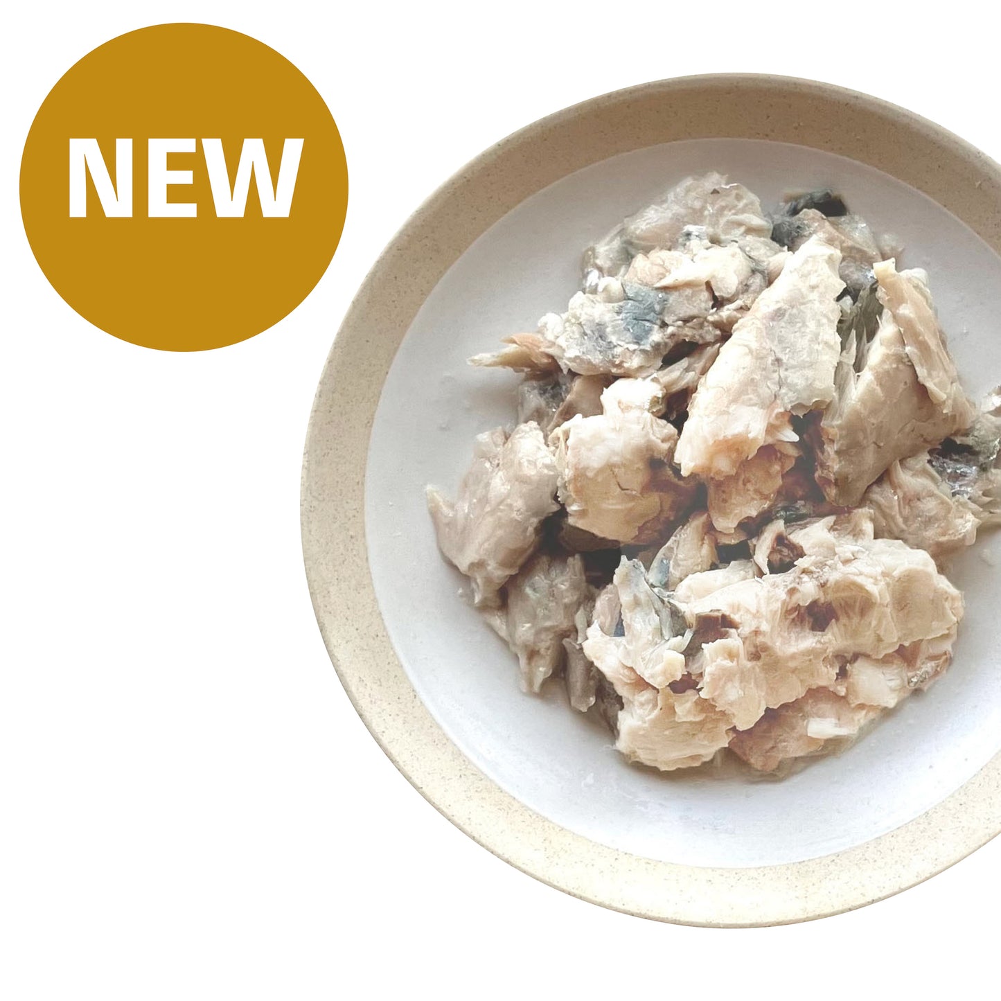 アジ【二宮産・天然魚】